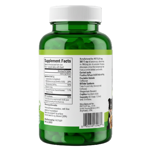 Gut Health