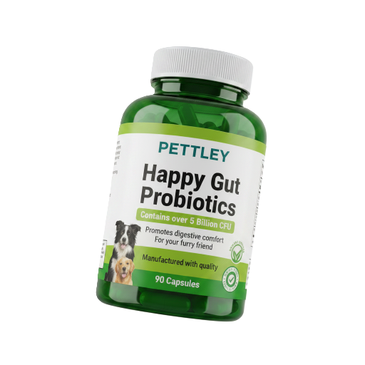 Gut Health