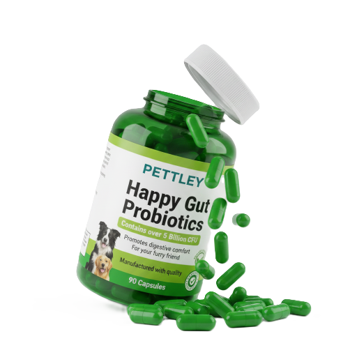 Gut Health