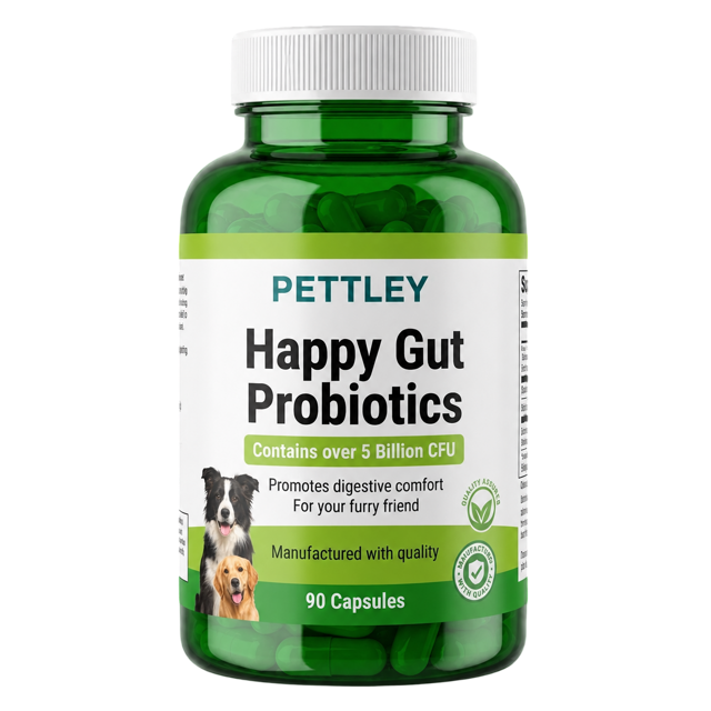 Gut Health